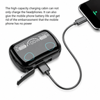 ESN-1 LED Digital Earbuds